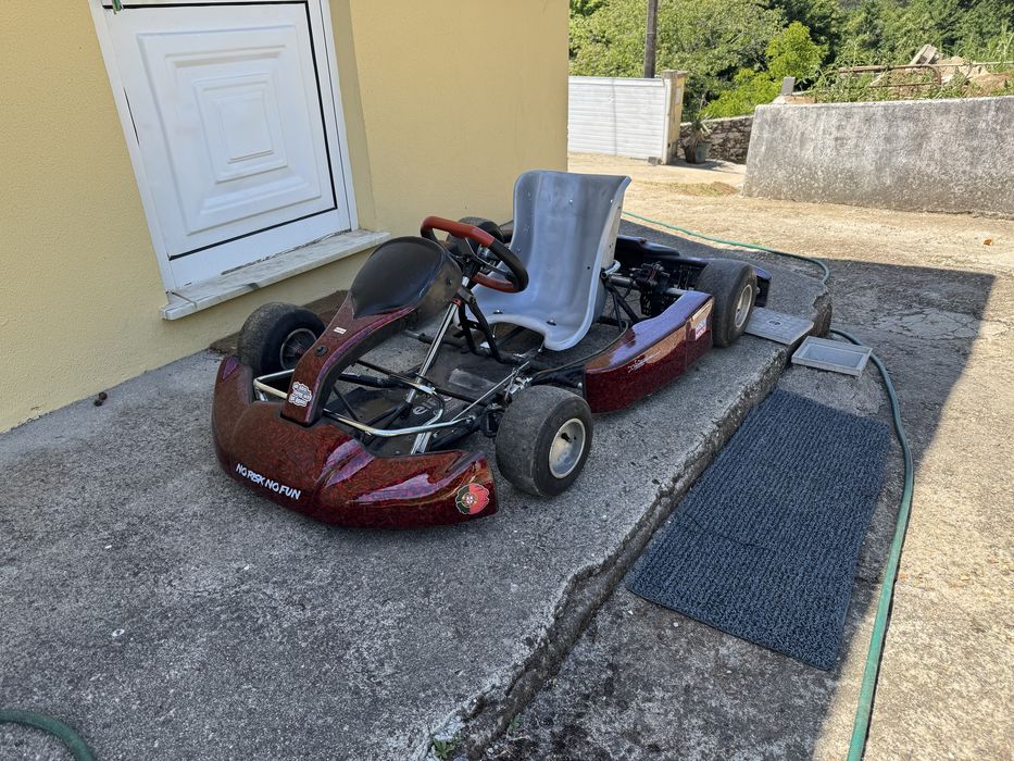 Kart modificado adulto