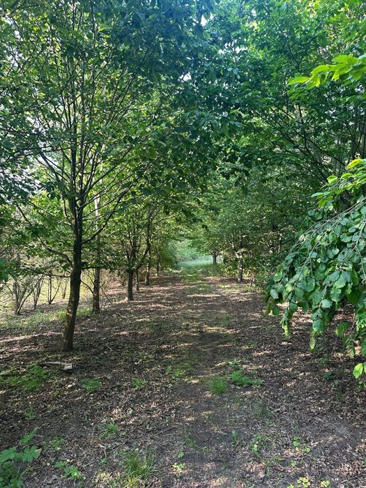 Działka 3200 m² pod nadarzynem okazja!!!