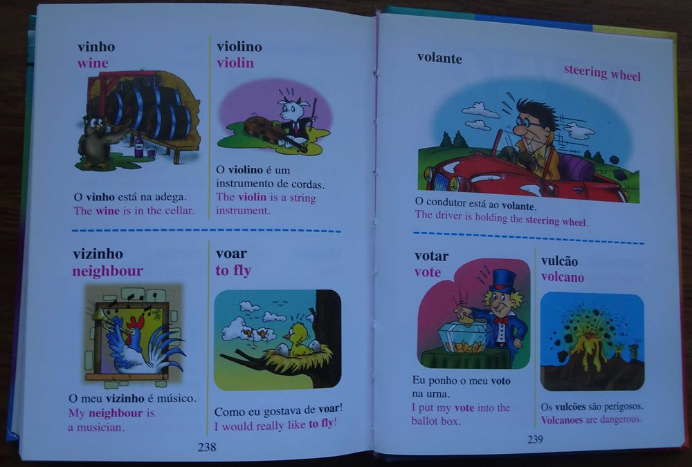 Dicionário Português Inglês Ilustrado - Primeira Biblioteca