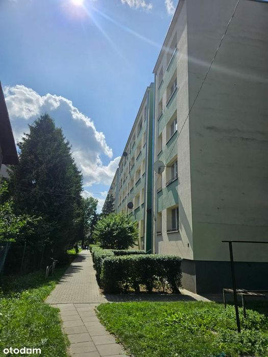 Zdjęcie 7