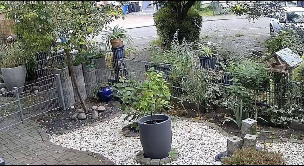 Kamera HD wifi + karta SD 32GB