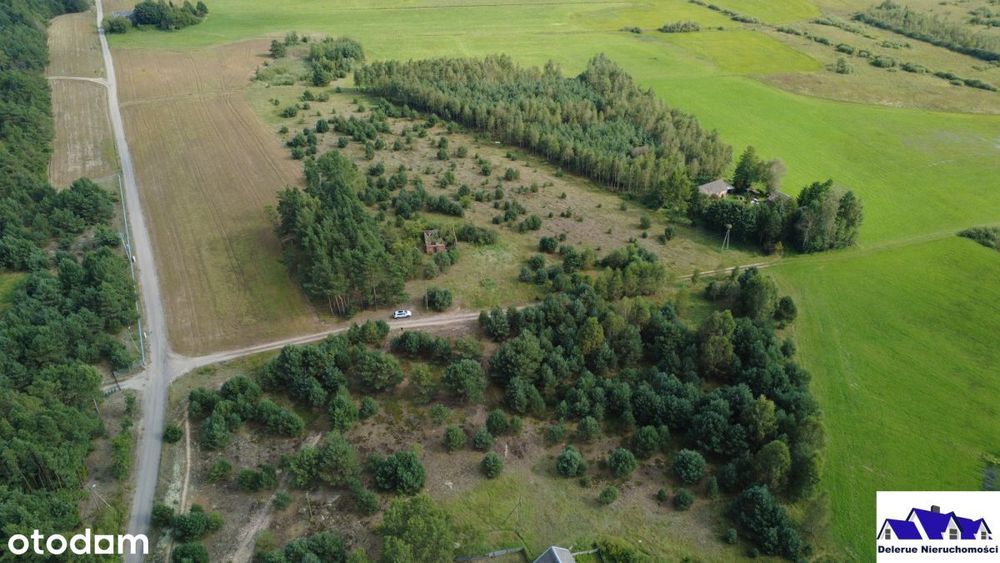 Działki budowlane w sąsiedztwie lasu - Widok 4