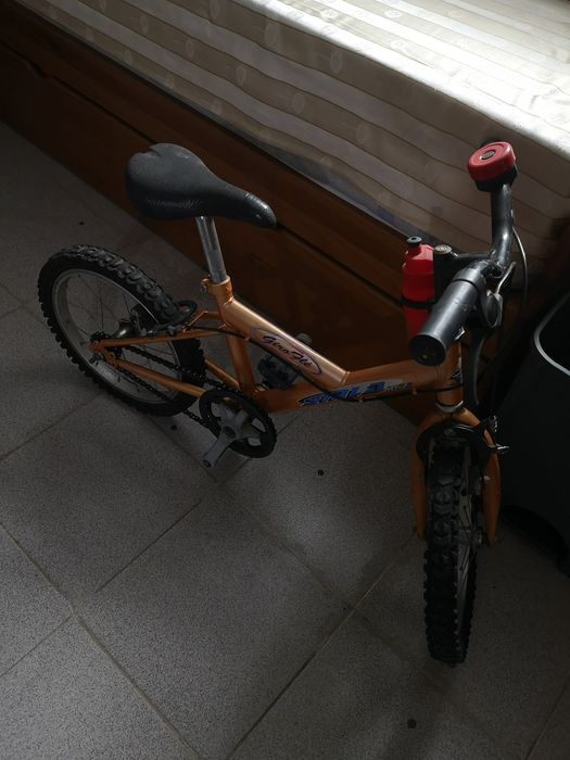 Bicicleta roda 10
