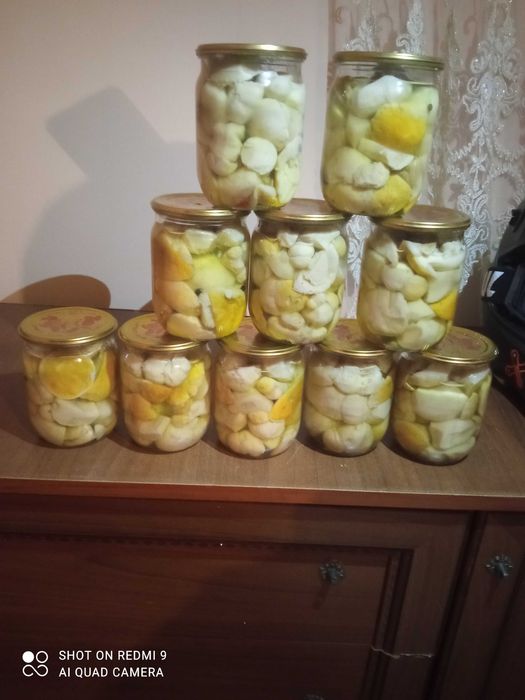 Продаю гриби,картоплю і виноград