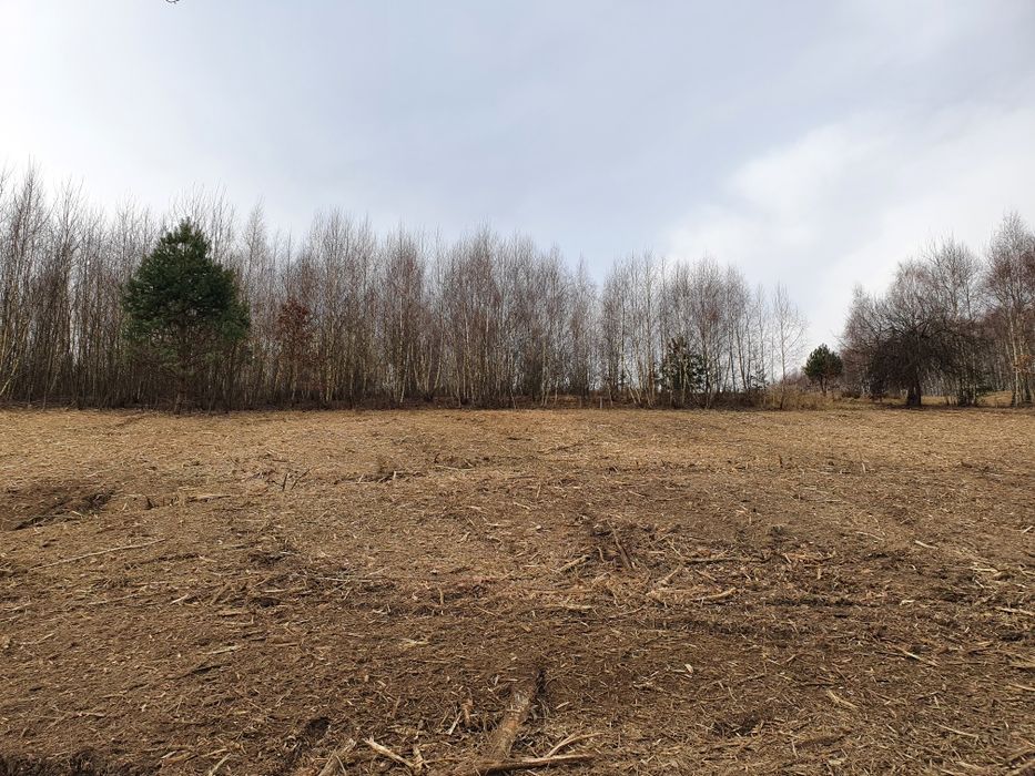 Koszenie kosiarką bijakową, Wycinka drzew, koszenie trawy