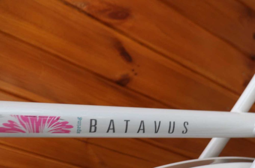 Rower damski Batavus Mambo D 61 RATY I inne rowery