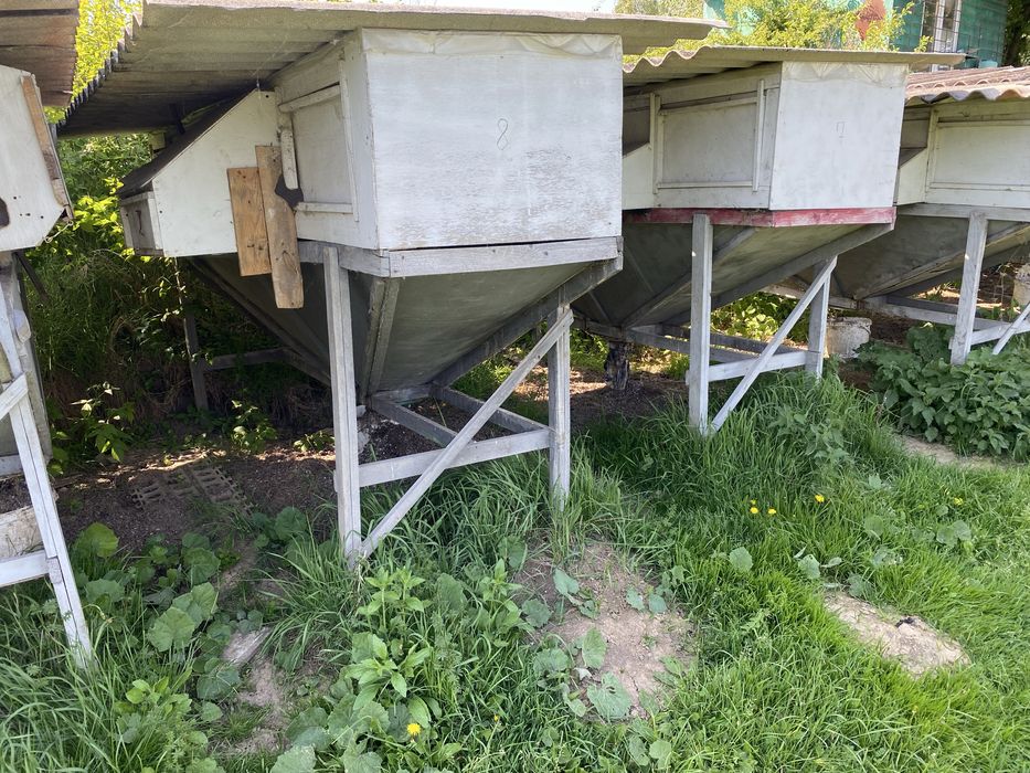 Клітки для кролів