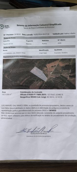 Terreno florestal