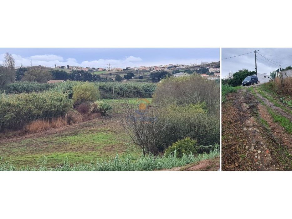 Terreno agrícola 6.000 m2 | A dos Cunhados, Torres Vedras