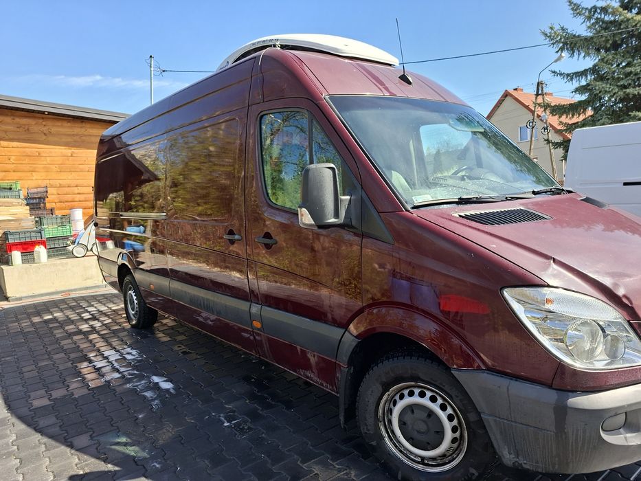 Chłodnia Sprinter 315