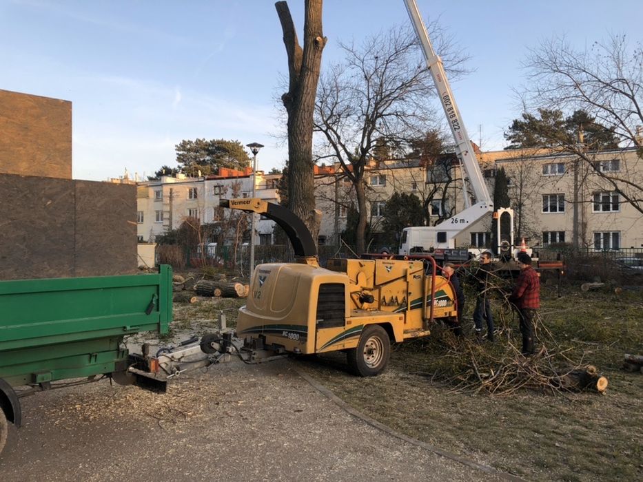 Wycinka przycinanie drzew Radzymin Ząbki wołomin kobyłka zielonka