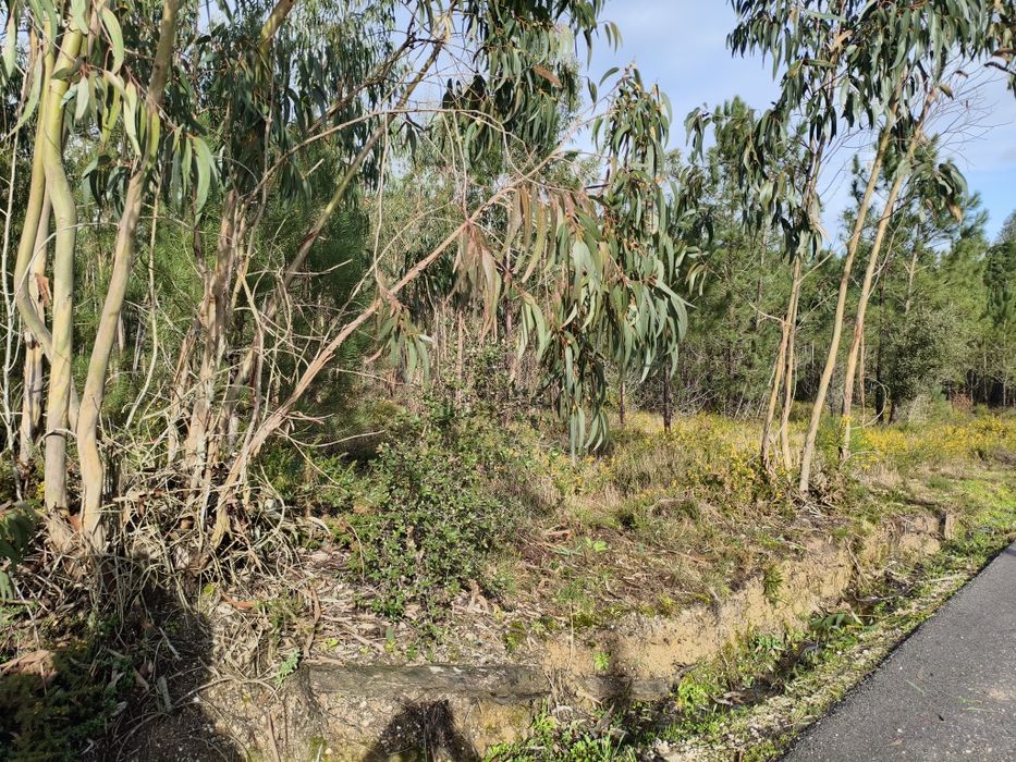 Terreno na Almagreira Construtivo