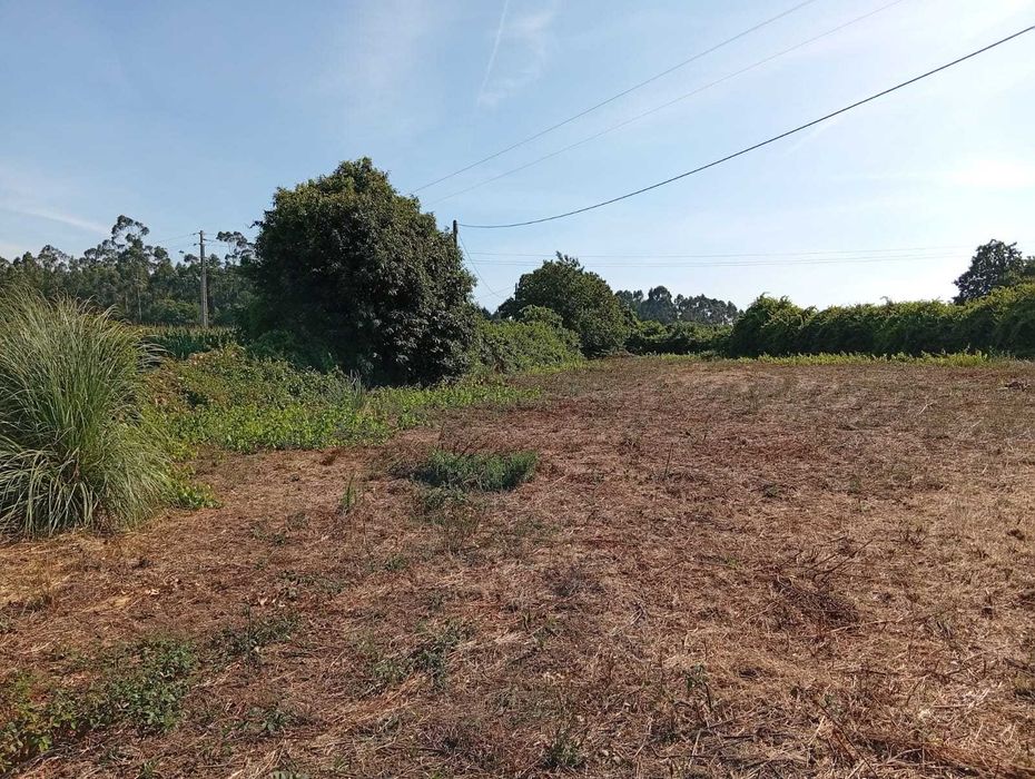 Terreno 2.802 m² – 60m de frente – Beiriz – 215.000 €
