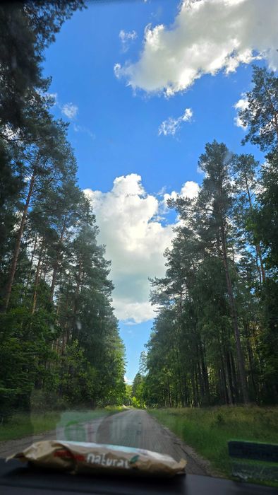 Mazury, dom do wynajęcia lub sprzedaży