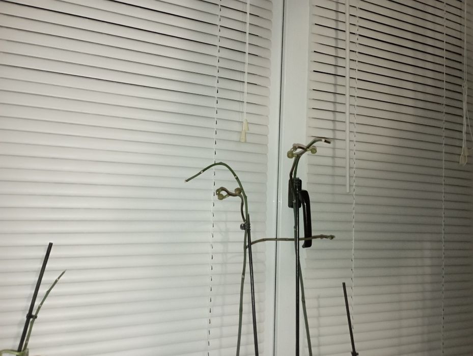 Жалюзі горизонтальні