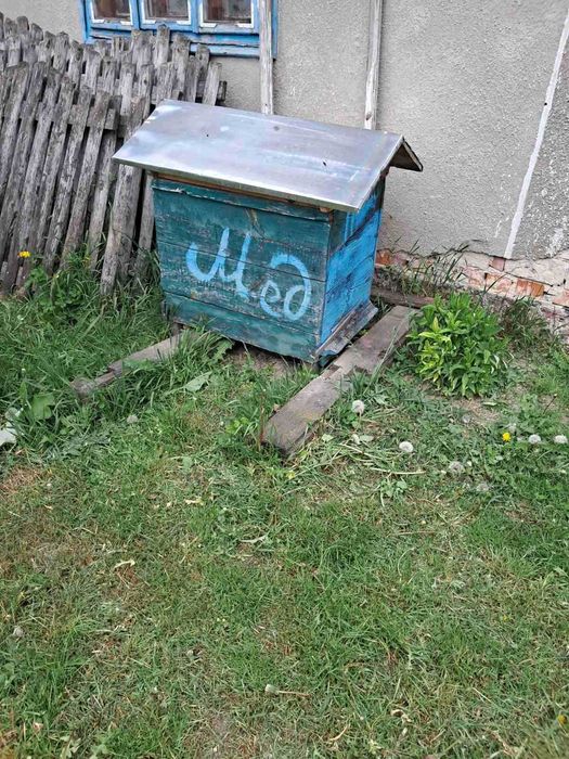 Вулики із сім'ями