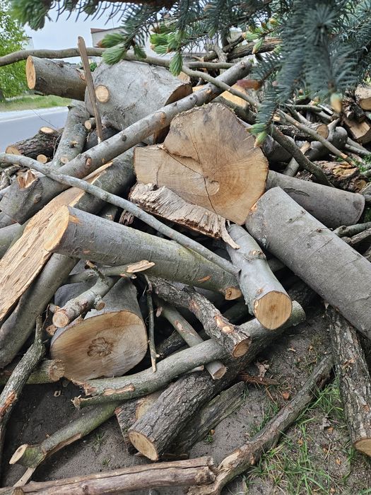 Sprzedam drewno opałowe