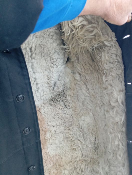 Тулуп , овчина натуральна . стан нового