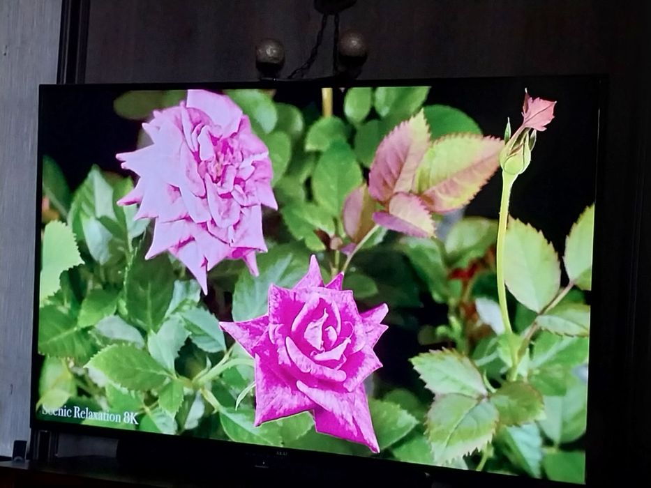 Большой телевизор AKAI UA65UHD22T2S