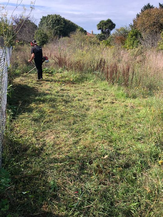 Jardineiro e limpeza de terrenos