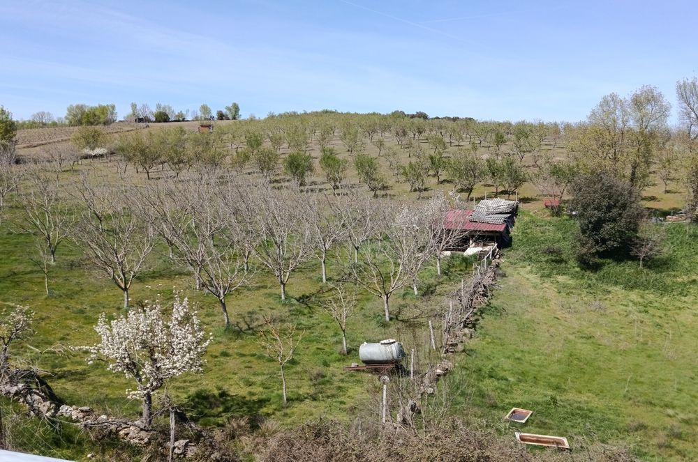 10 Hectares (100.000m2)  Terreno Agrícola Duas Igrejas Miranda do Douro, bem localizado, água e com maquinaria agrícola