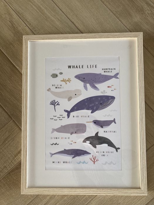 4 plakaty dzieciece poster store 30 x 40 safari, dinosaur