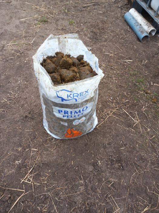 Obornik koński 100%