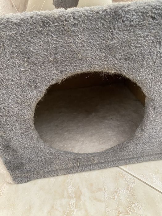 Casinha para gato animais pets