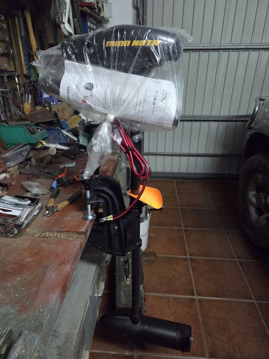 Motor de barco eléctrico