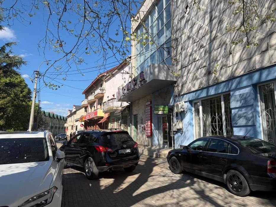 Продаж готового бізнесу / Комерційна нерухомість (ТЦ) у м. Хуст