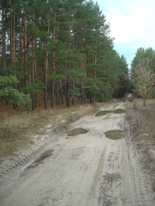Ціну змінено!!! Продам земельну ділянку під будівництво в с. Чорнявка