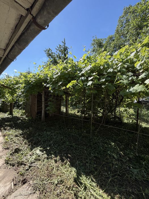 Продаж будинку з шлакоблоку с. Косогірка