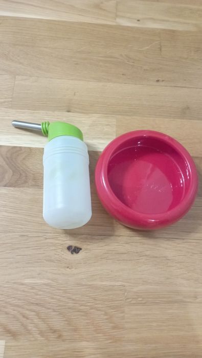 Продам поїлку та тарілочку для гризунів