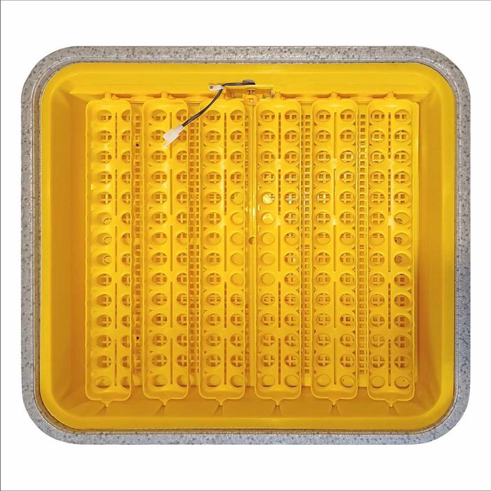 Інкубатор автоматичний Теплуша Euro 88 PRO 220В комбінований корпус