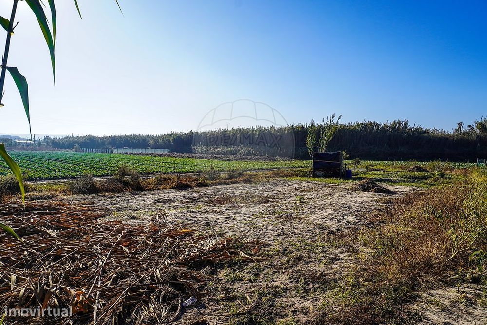 Terreno  para venda — Ferrel, Leiria