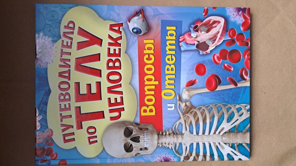 Путеводитель по телу человека/Вопросы и ответы