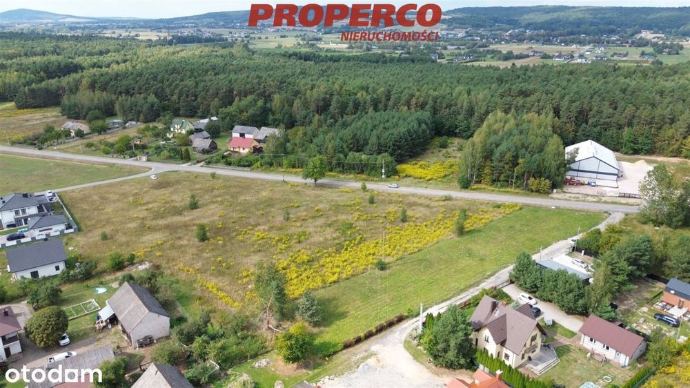 Działka pow. 2300 m², ul. Świętokrzyska, Chełmce - Widok 5