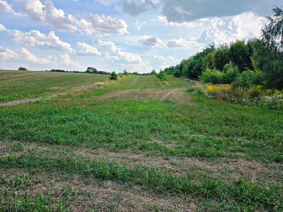 Продаж земельної ділянки с. Липини | 30 сот | під забудову