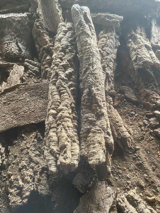 Cortiça pranchas , tubos , meios tubos para decoraçao e outros propos