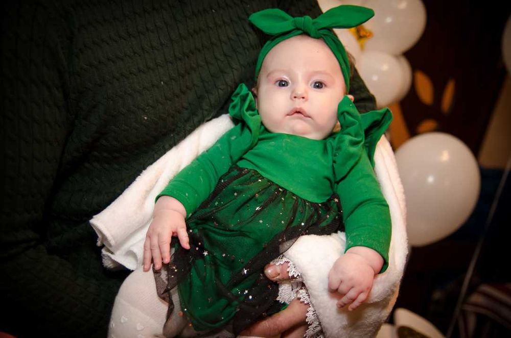 Продам фемели лук