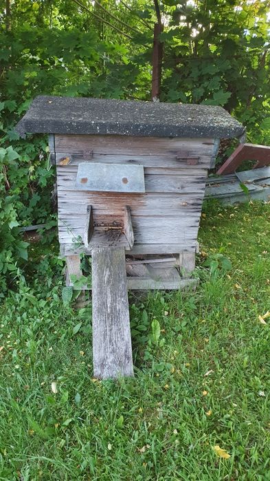 Sprzedam ule ul z pszczołami pszczoły pasieka