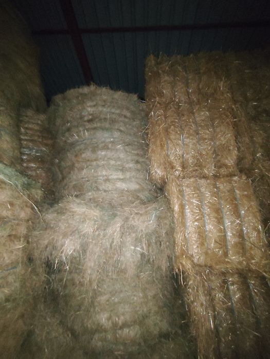 Fardos de palha e rolos de feno