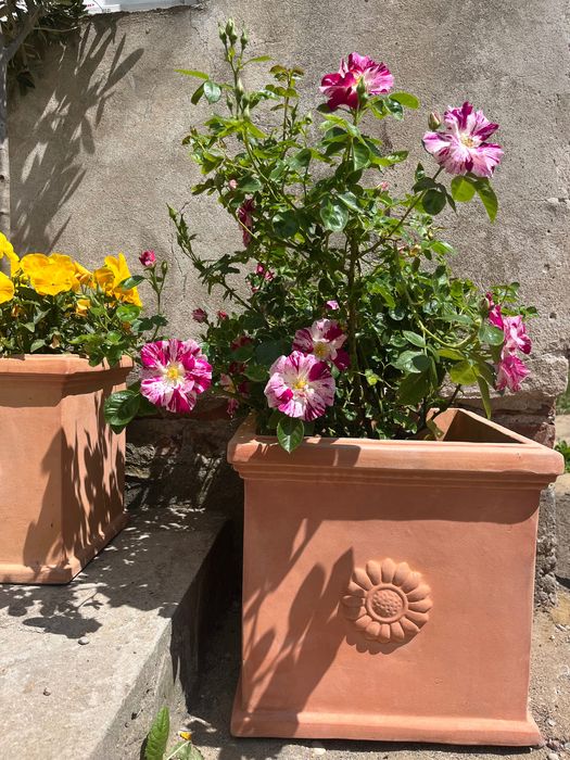 Duża ceramiczna ceglana donica śródziemnomorski klimat Nowa