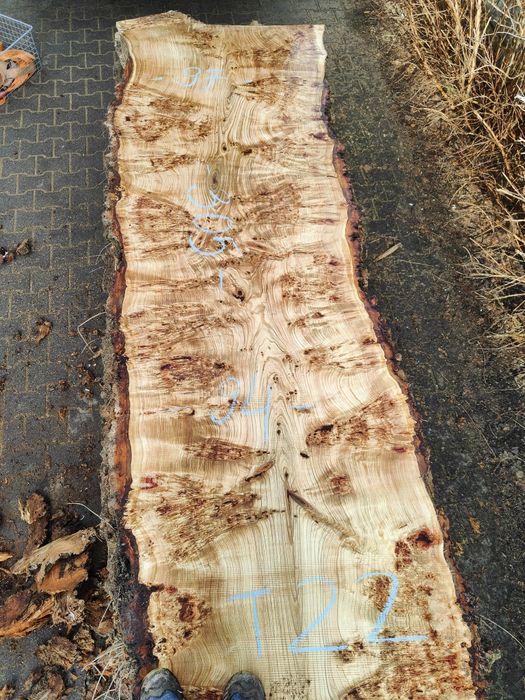 Monolit  topoli 8% po suszarni próżniowej