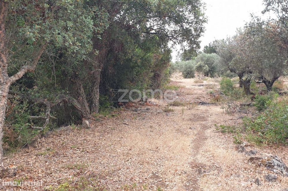 Terreno 5,5 ha com projeto turístico aprovado – Borba, Alentejo