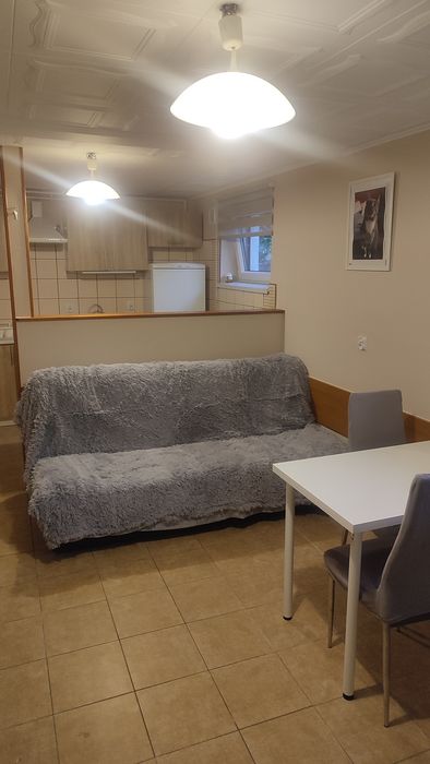 WYNAJMĘ mieszkanie 1-pokojowe