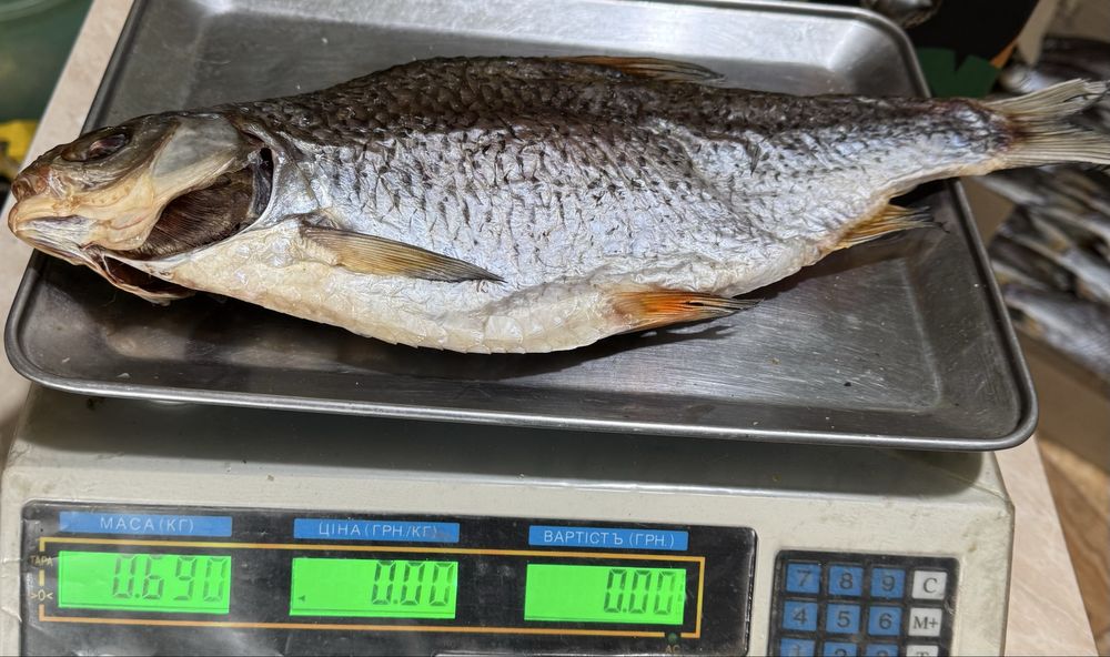 Сушена риба густера, тарань, карась, судак, лящ, щука