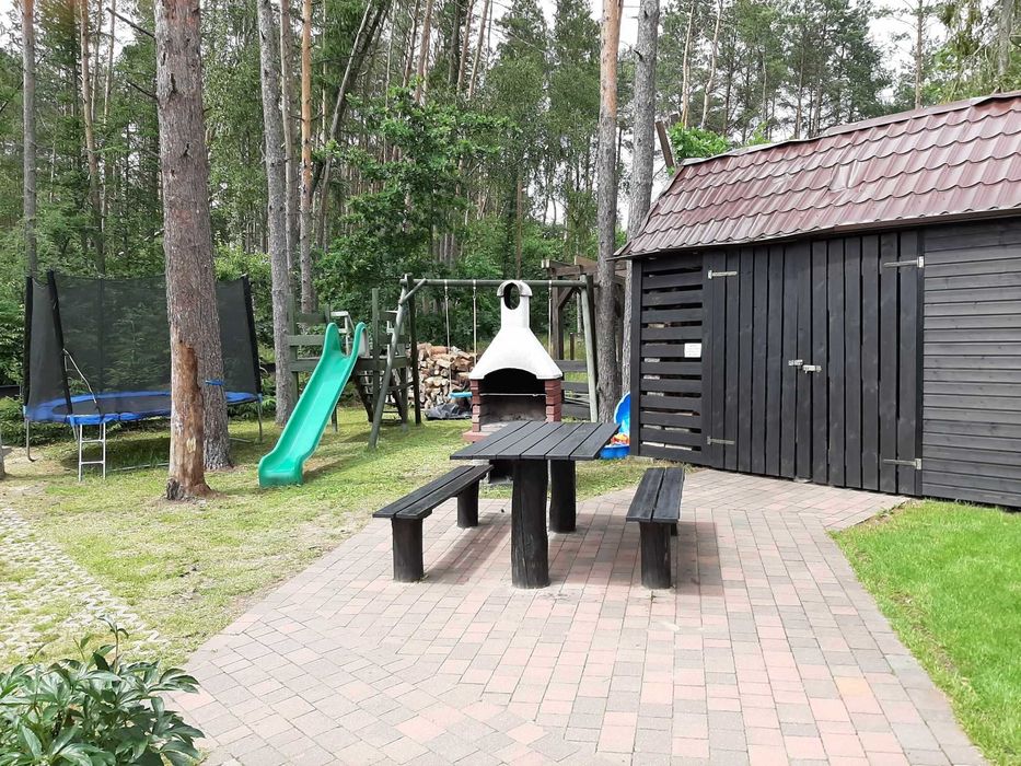 Wolny termin na  MAJÓWKĘ I LATO