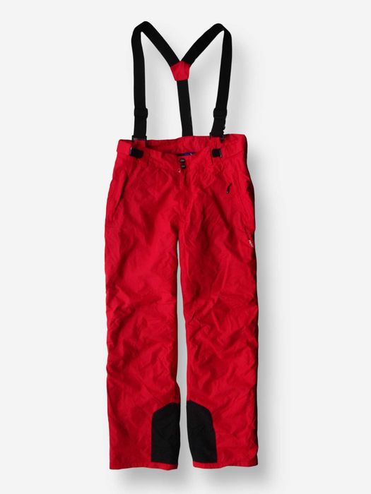 Теплые термо зимние горнолыжные штаны брюки полукомбинезон комбинезонL