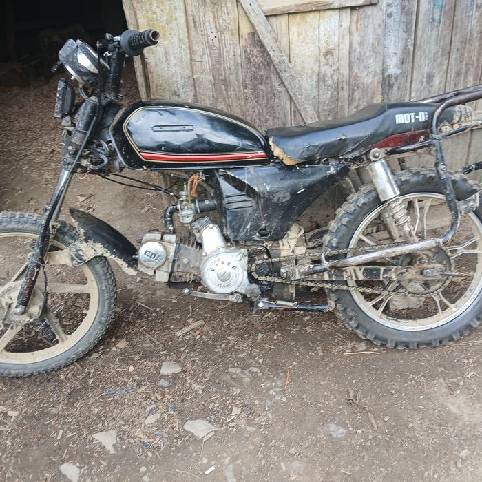 Мустанг дінго 125